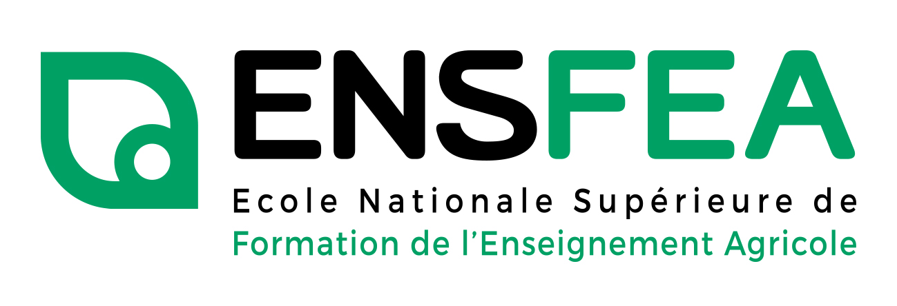 Bannière ENSFEA